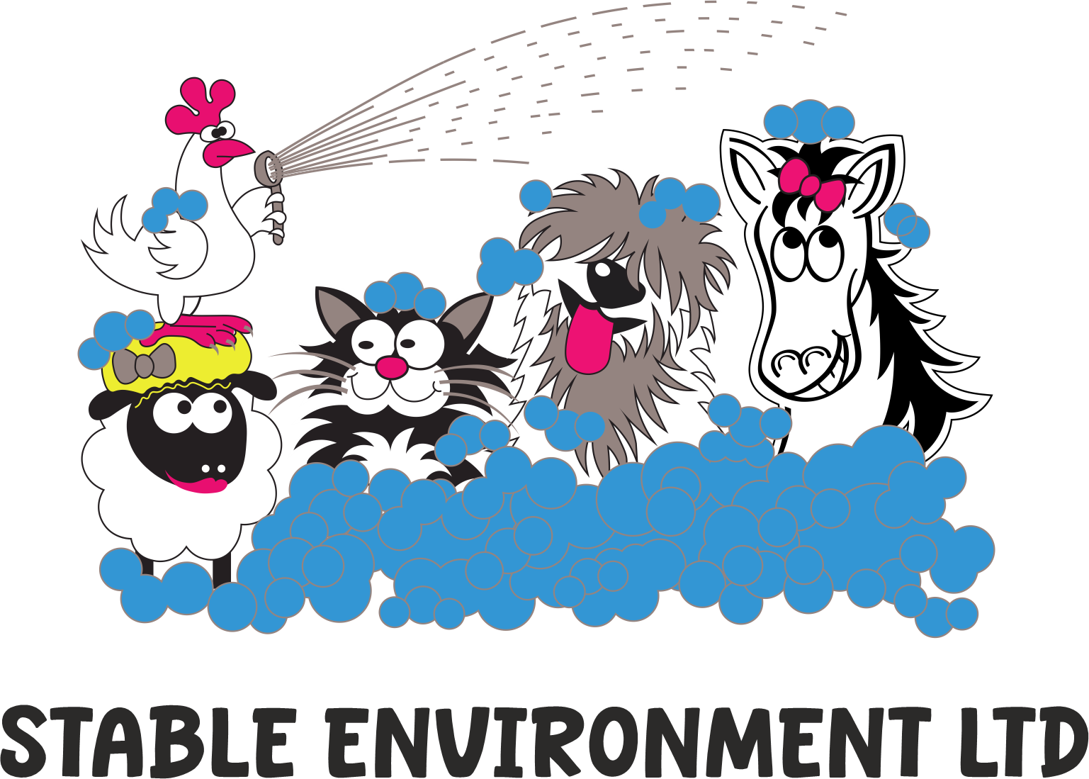 Stable Environment logo